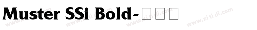 Muster SSi Bold字体转换